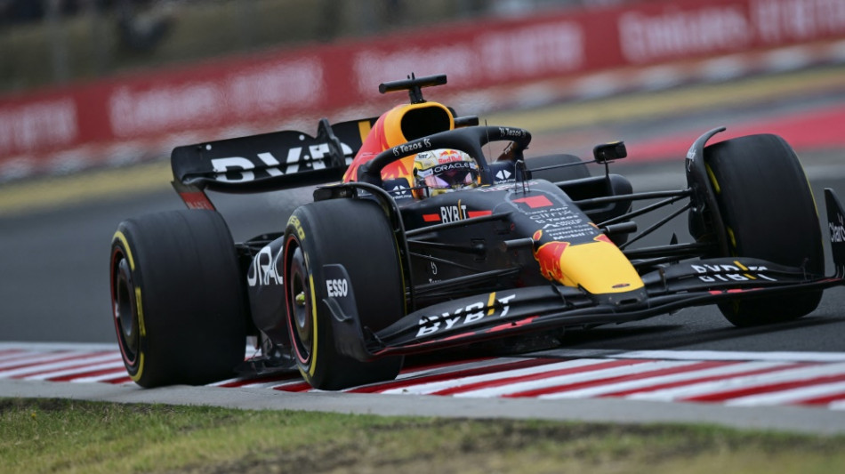 Formel 1: Verstappen gewinnt in Ungarn 