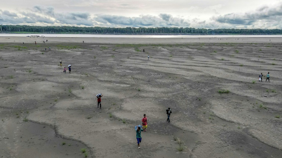 Record drought in Amazon impacts 420,000 children: UNICEF