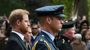 William violent, le remariage de Charles: les mémoires du prince Harry font sensation