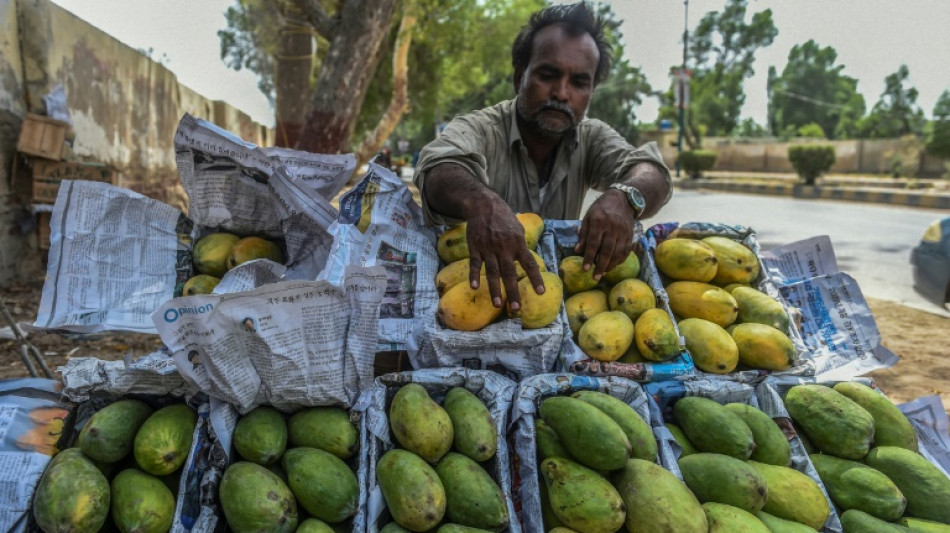 Pakistan's prized mango harvest hit by water scarcity