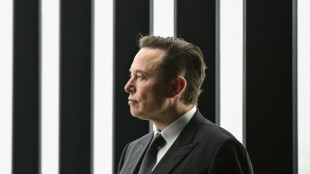 Musk-ruled Twitter: users left to fight trolls and misinformation?