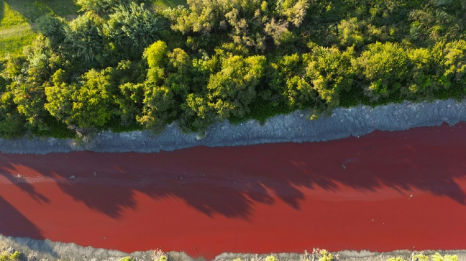 Las aguas de un arroyo de Buenos Aires bajan teñidas de rojo