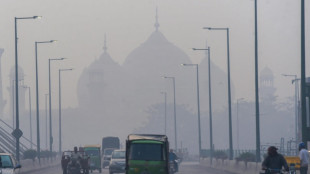 Air pollution greatest global threat to human health, says benchmark study