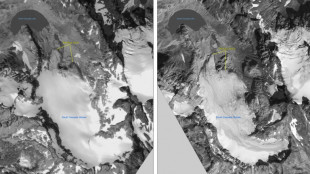 South Cascade, "glacier de l'année" et référence mondiale de l'étude sur les glaciers