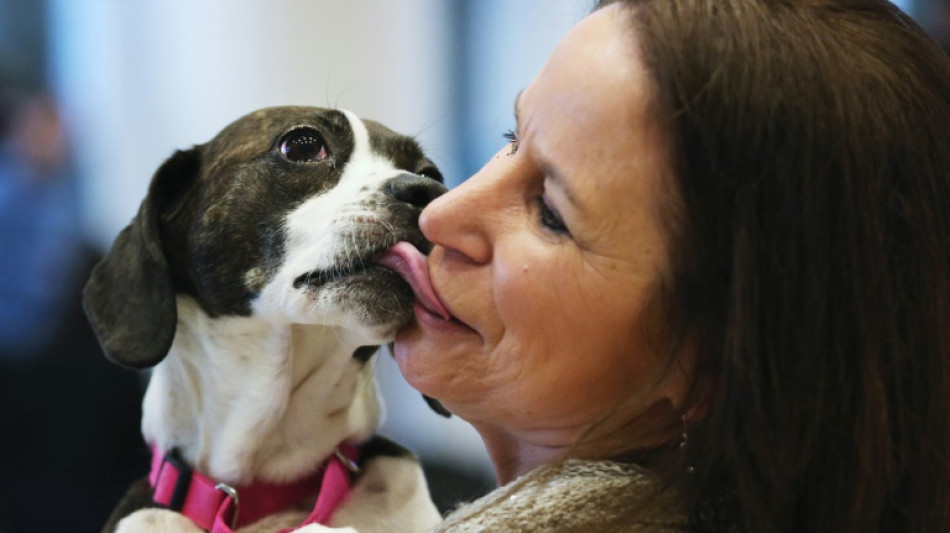 Einnahmen aus Hundesteuer im zweiten Pandemiejahr erneut gestiegen