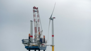 La première éolienne offshore de France installée au parc de Saint-Nazaire