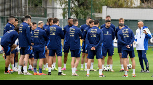 Euro 2024: 'Italia, Italia', azzurri accolti da tifosi scatenati