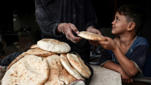 Unos 345.000 gazatíes se enfrentan a niveles "catastróficos" de inseguridad alimentaria, según la ONU