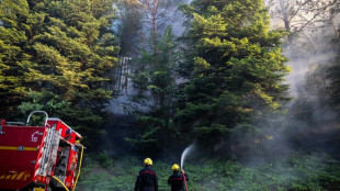 Vosges: le feu de forêt est "fixé", 30 hectares brûlés