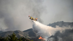 La Grèce toujours écrasée sous une chaleur caniculaires, aux prises avec des incendies