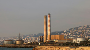 'Close the windows': Lebanon power plant sparks cancer fears