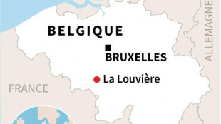 Belgique: une voiture fonce sur un carnaval, quatre morts