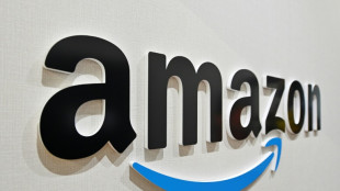 Amazon warns of meager holiday season sales growth