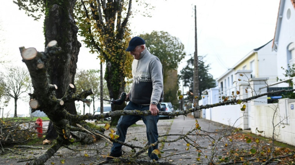 Frau stirbt durch umgestürzten Baum bei schwerem Sturm im Harz