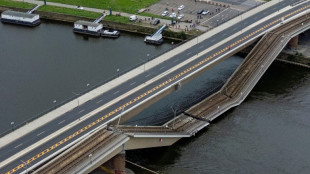 Bridge partially collapses in Germany, no injuries