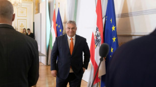 Hungary's Orban defends 'cultural standpoint' in race row