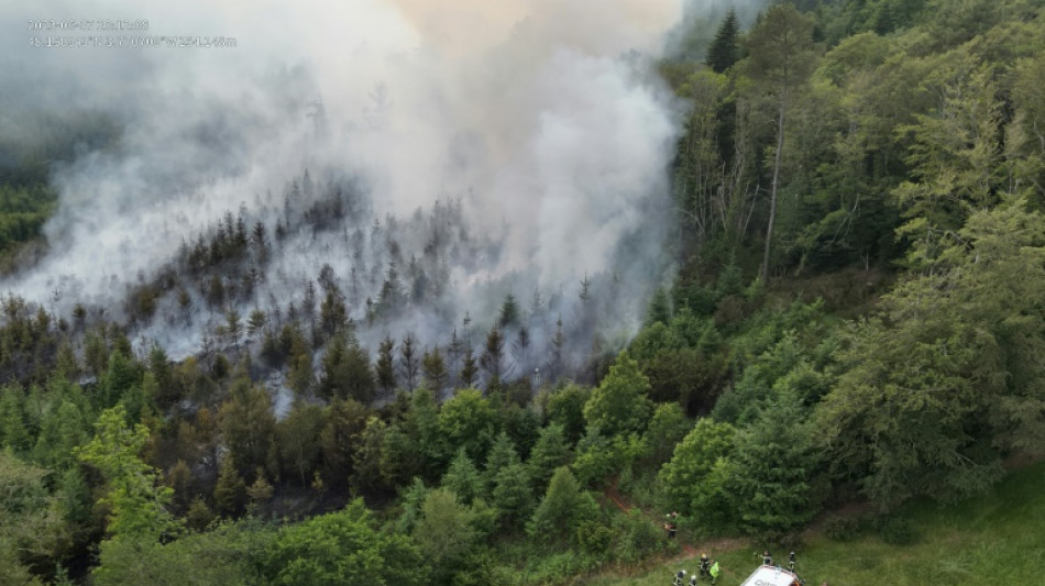 Finistère: un incendie précoce détruit cinq hectares de végétation