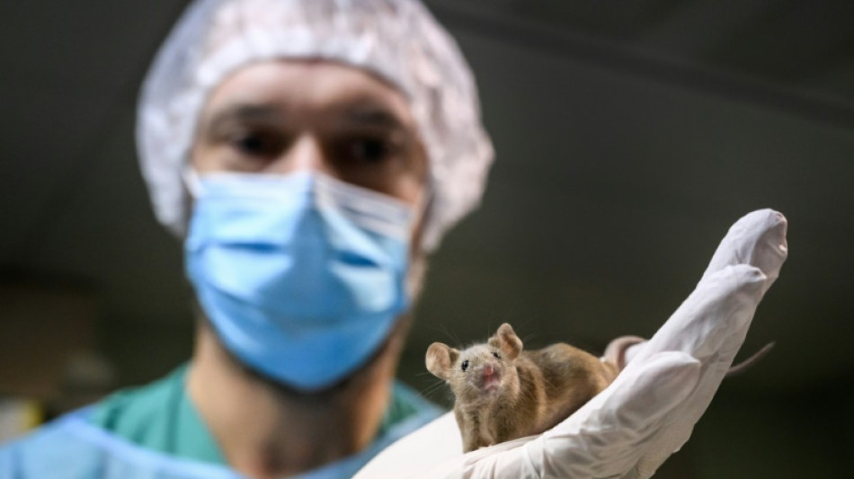 Pas d'expérimentation animale ou humaine: la Suisse se prononce dimanche