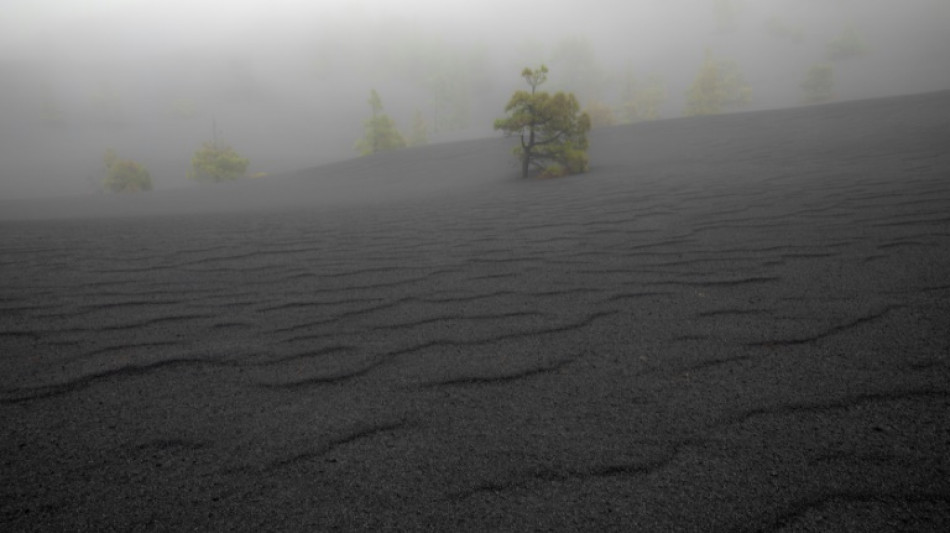 Spanish islanders struggle one year after volcanic eruption