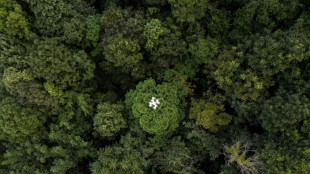 Thaïlande: des drones pour mieux connaître le rôle des forêts contre le réchauffement