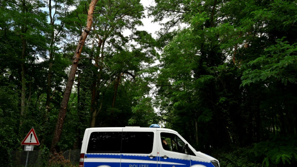 Suche nach Raubkatze am südlichen Berliner Stadtrand geht weiter