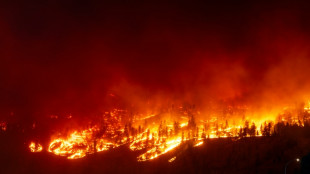 Wildfires threaten western Canada city as far north evacuated