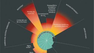 La humanidad sobrepasa cada vez más los "límites planetarios"