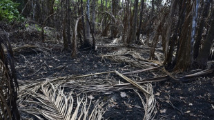 Impunidade, passividade: moradores da Amazônia Legal exigem fim das queimadas