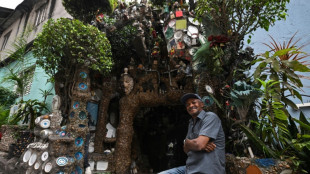 Un château dans la favela, l'oeuvre inachevée du "Gaudí brésilien"