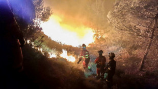 Espagne: 700 personnes évacuées à cause d'un feu de forêt "hors de contrôle"