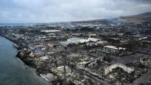 Le bilan des incendies à Hawaï atteint au moins 53 morts