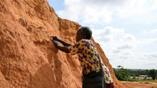 Il y a 150.000 ans à Abidjan, une immense forêt tropicale et déjà l'Homo sapiens