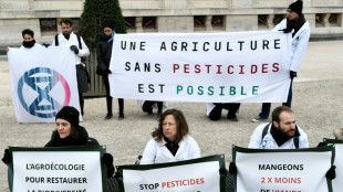 Des scientifiques organisent un cortège funèbre pour les insectes à Paris