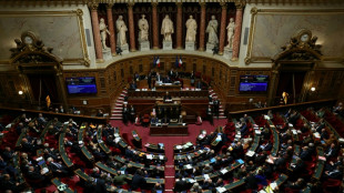 Budget: le Sénat pose ses exigences, avant une semaine décisive pour le gouvernement