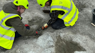 UK's biggest dinosaur footprint site uncovered