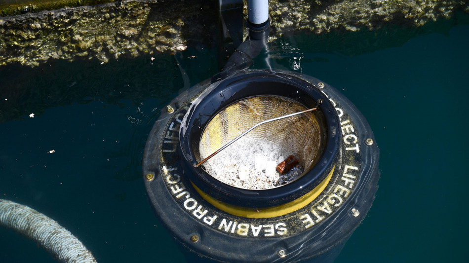 Mediterraneo,le microplastiche minacciano gli ingegneri del mare