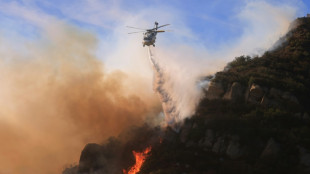 Hollywood-Stars auf der Flucht vor heftigem Waldbrand in Malibu