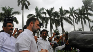 Inde: le principal chef de l'opposition Rahul Gandhi réintégré au Parlement