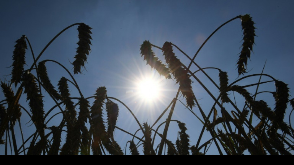 Deutscher Wetterdienst rechnet bis 2028 mit deutlich wärmeren Jahren