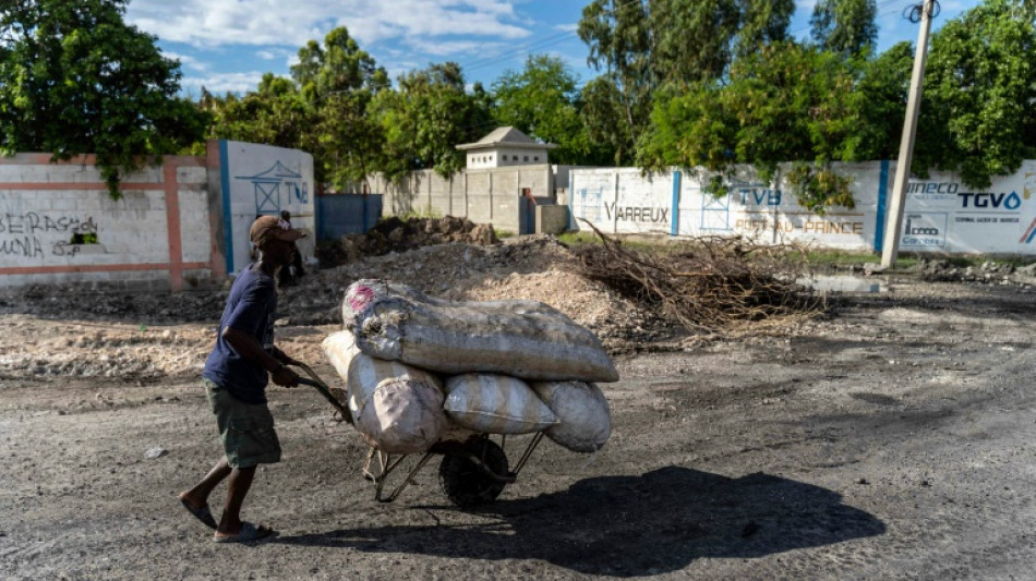 El FMI aprueba 105 millones de dólares para combatir la emergencia alimentaria en Haití