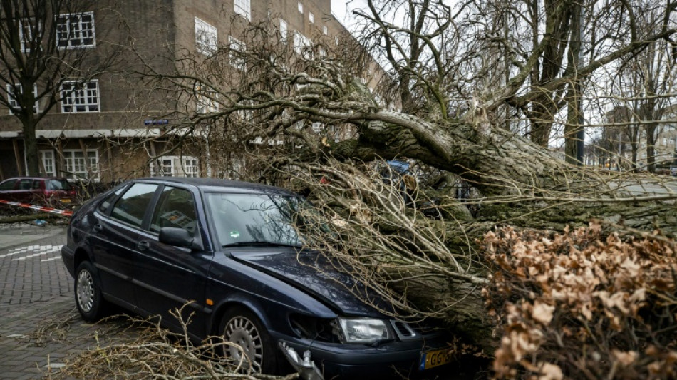 14 dead as Storm Eunice hits power, transport in Europe