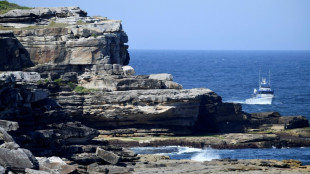 Australia, a la caza del tiburón que mató a un bañista en Sídney