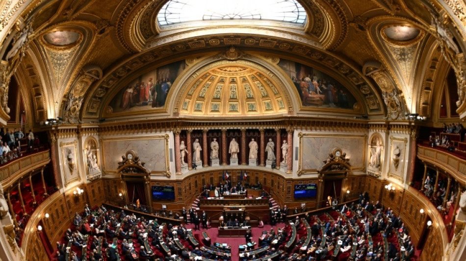 Transidentité des mineurs: le Sénat se déchire sur un texte LR décrié