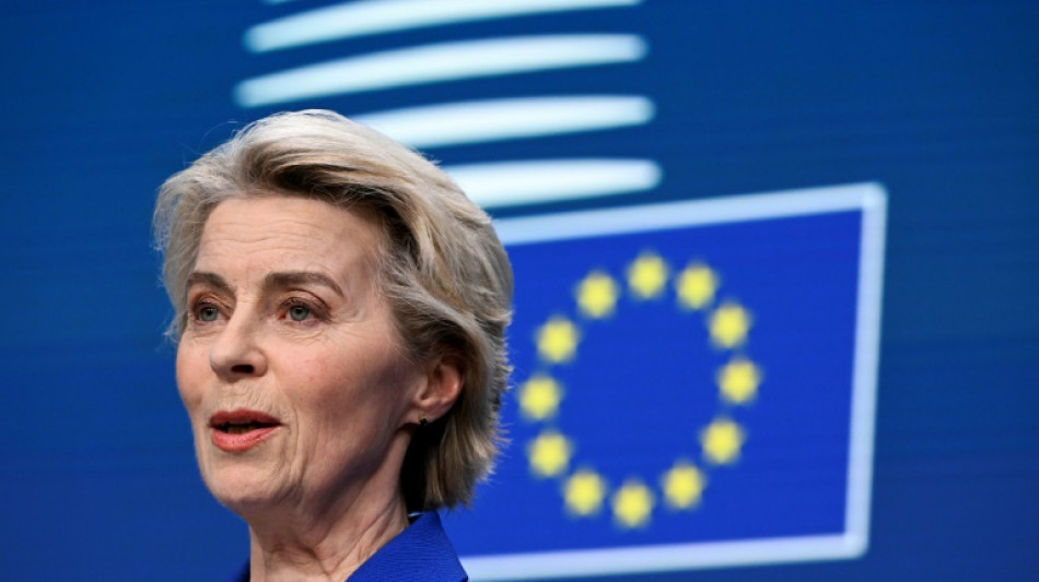 Von der Leyen eröffnet EU-Dialog mit Autobauern und Zulieferern