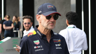 Newey si separa dalla Red Bull, l'annuncio ufficiale del team