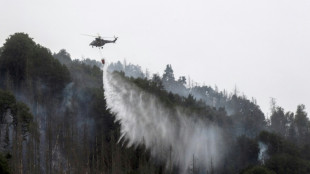 Lage bei Waldbrand in Sachsen beruhigt sich weiter