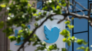 Twitter assure que les analystes de Musk n'ont pas de preuves sur les faux comptes