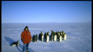 Leading ozone scientist says more climate surprises likely