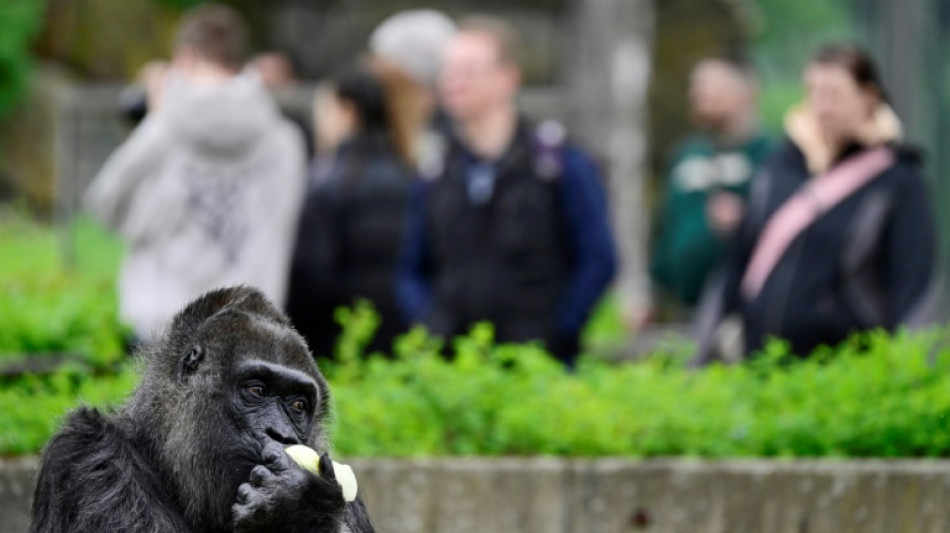 Zoos wollen Besucher intensiver für Naturschutz begeistern