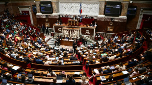 Pouvoir d'achat: l'Assemblée poursuit son marathon avec le budget rectificatif